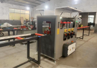 pS(sh)؝LͺϙC_XlһwC